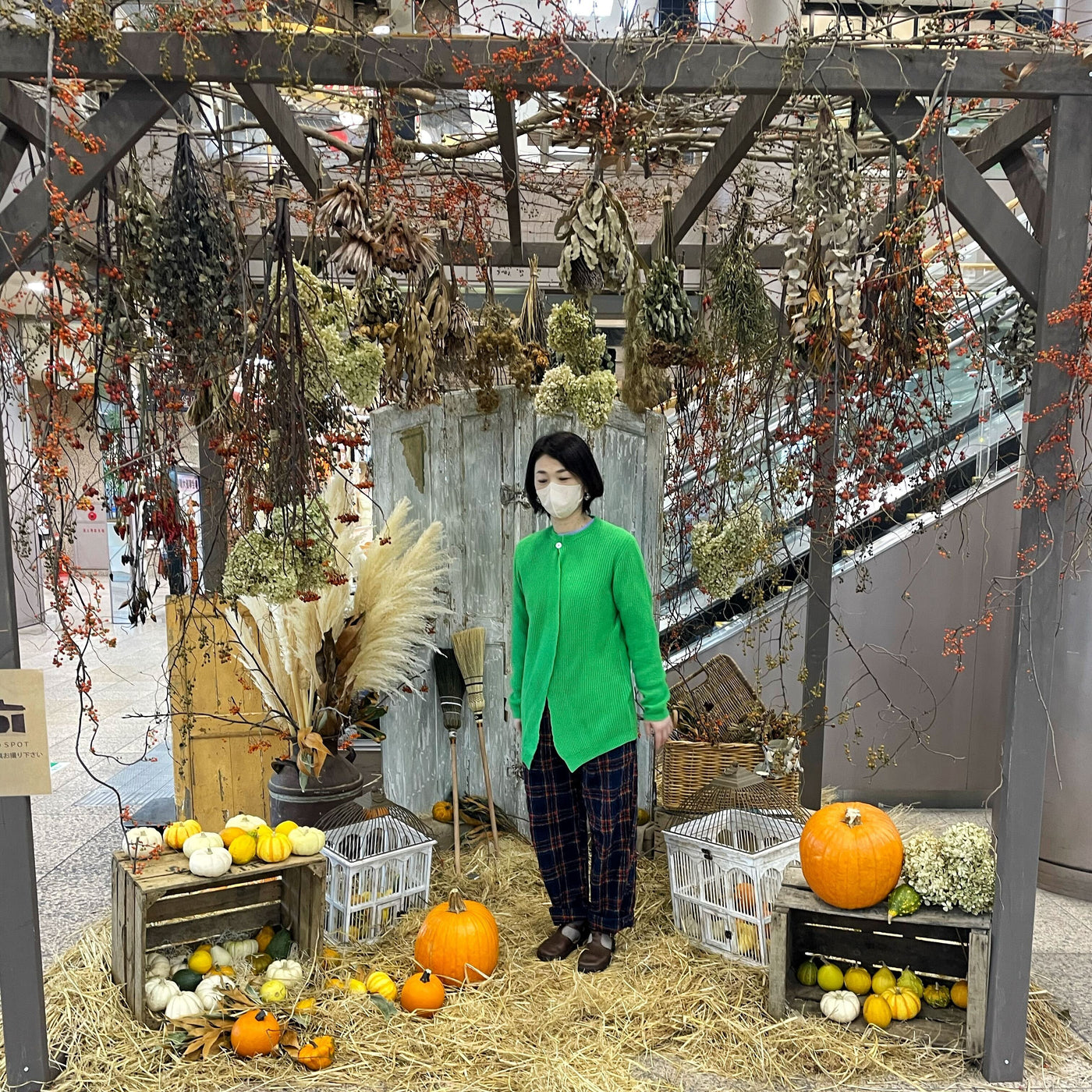ハッピーハロウィン!