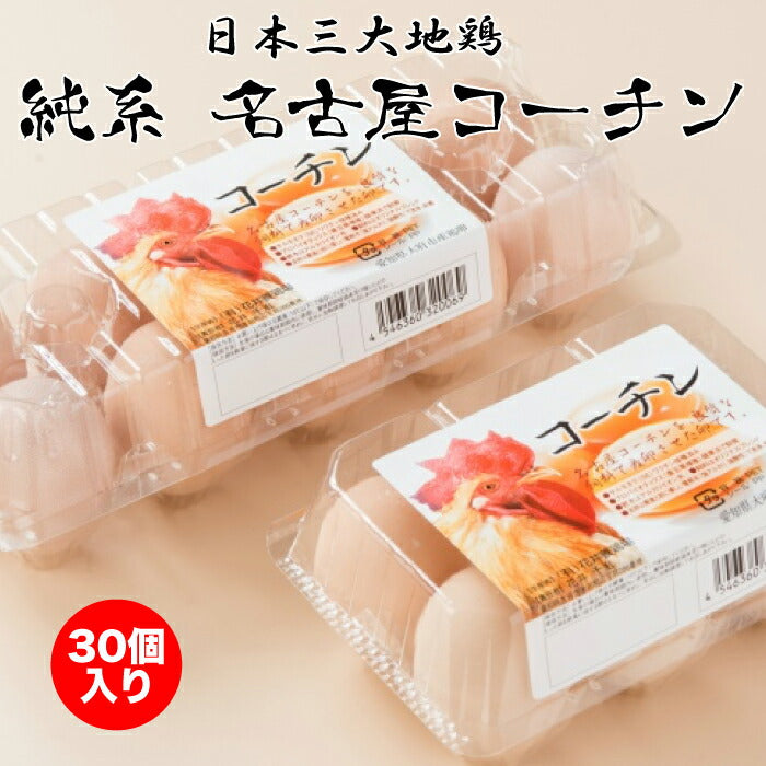 日本三大地鶏 純系 名古屋コーチン卵 30個入り 花井養鶏場 – 福田屋