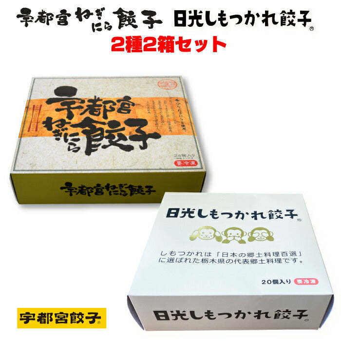 焼餃子 宇都宮ねぎにら餃子＆日光しもつかれ餃子 2種2箱セット FN046
