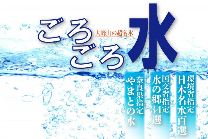 名水の里 | 大峰山の超名水 ごろごろ水 20L – 福田屋オンラインストア