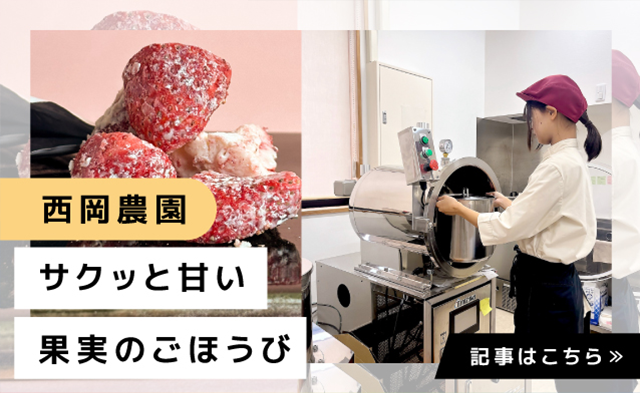 【奈良Donna】サクほろ×しっとり新食感いちごショコラ