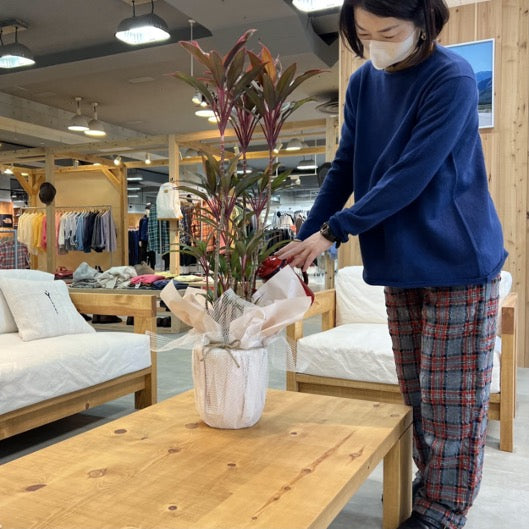 チェックパンツ