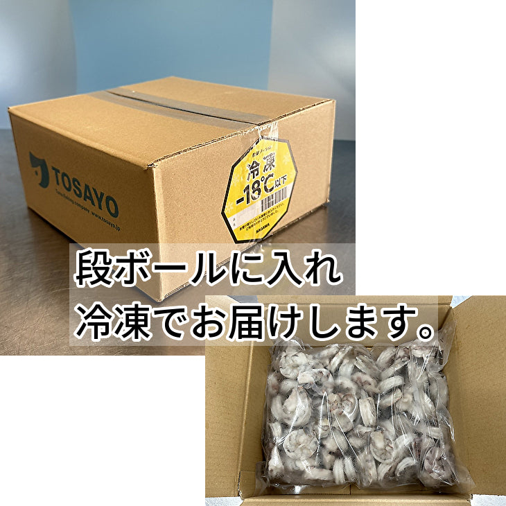 【保水材不使用 ！訳あり大容量】土佐洋 | 高級ブラックタイガー