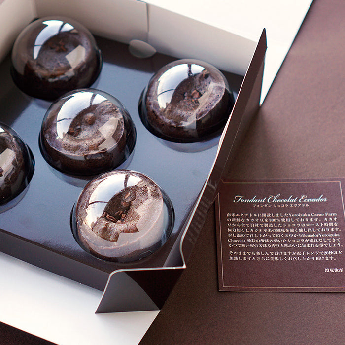 01-01 トシ・ヨロイヅカ フォンダンショコラエクアドル F365