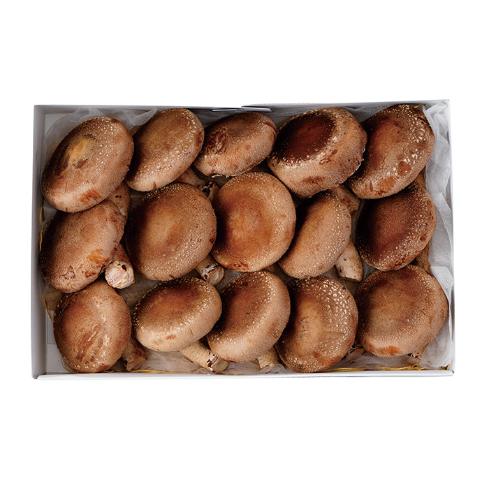 12-07 リンネ農園 特別栽培椎茸詰合セット F616