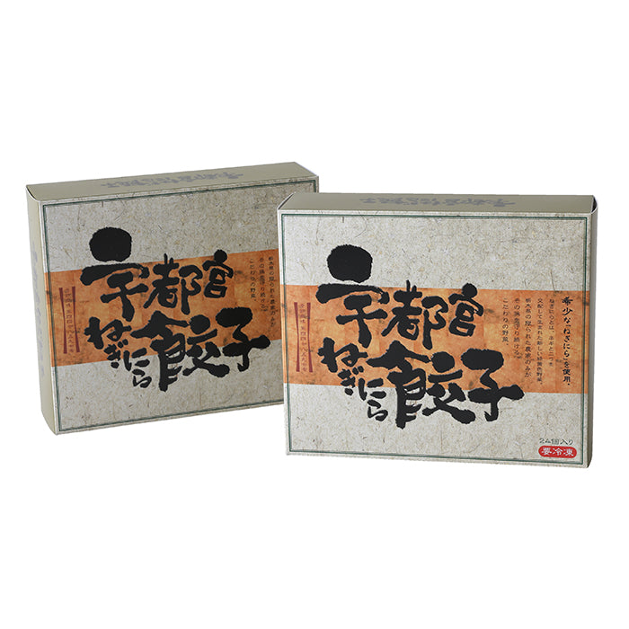 13-11 宇都宮ねぎにら餃子２箱セット F769