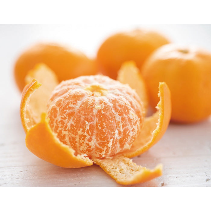 18-08 コウ果樹園 華みかん（温州みかん）約3kg F650