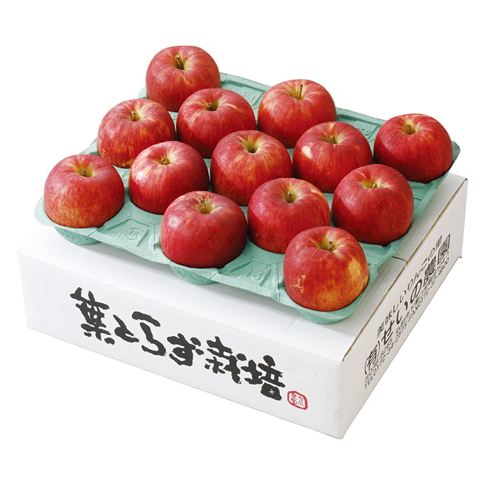 25-02 青森 せいの農園 福田屋オリジナル 葉とらずリンゴギフトセット F658