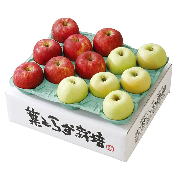 25-03 青森 せいの農園 福田屋オリジナル 葉とらずリンゴギフトセット F659