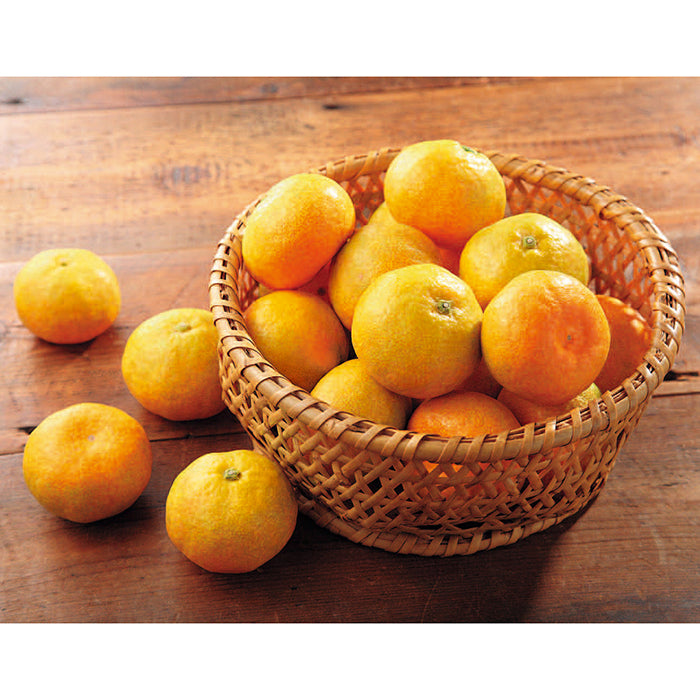 27-01 宇和島みかん F673