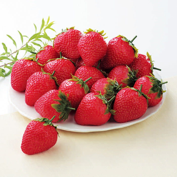 27-02 福岡県産 あまおう F674