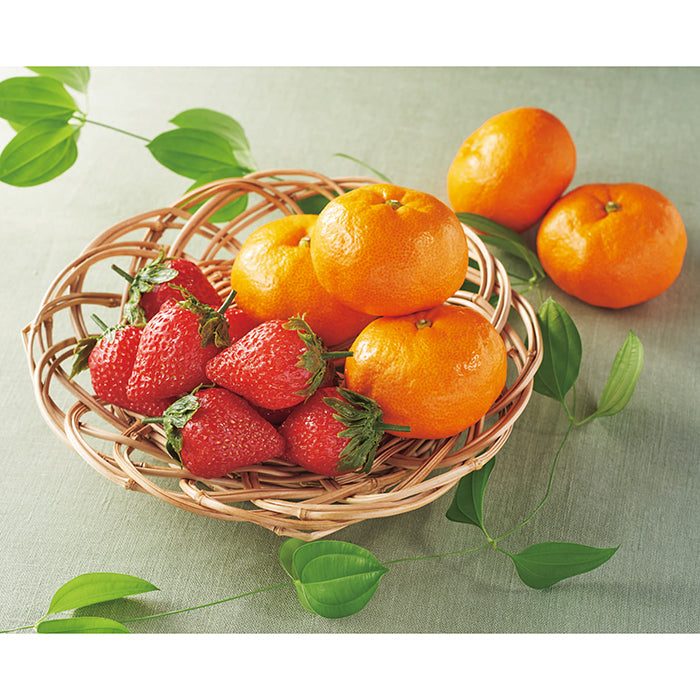 27-05 愛媛・和歌山県産 みかん＆ 栃木県産 苺 F677