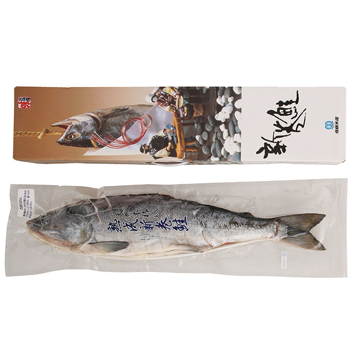 48-01-2 佐藤水産 熟成新巻鮭姿切身 約1.8kg F192