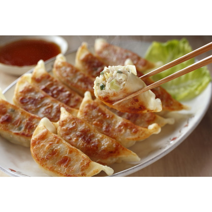 とんきっき餃子 20個入り (ボックス) – 福田屋オンラインストア とんきっき餃子 20個入り (ボックス) – 福田屋オンラインストア