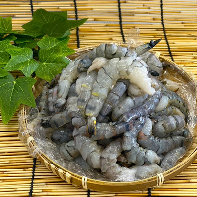 【保水材不使用 ！訳あり大容量】土佐洋 | 高級ブラックタイガー