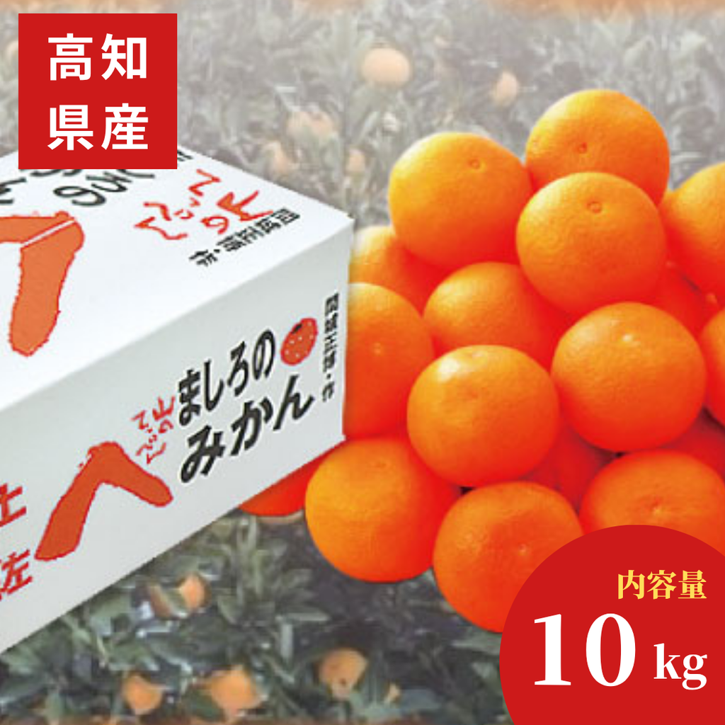 薄皮で平均糖度12度以上】高知県 山のてっぺん間城のみかん 約10kg入