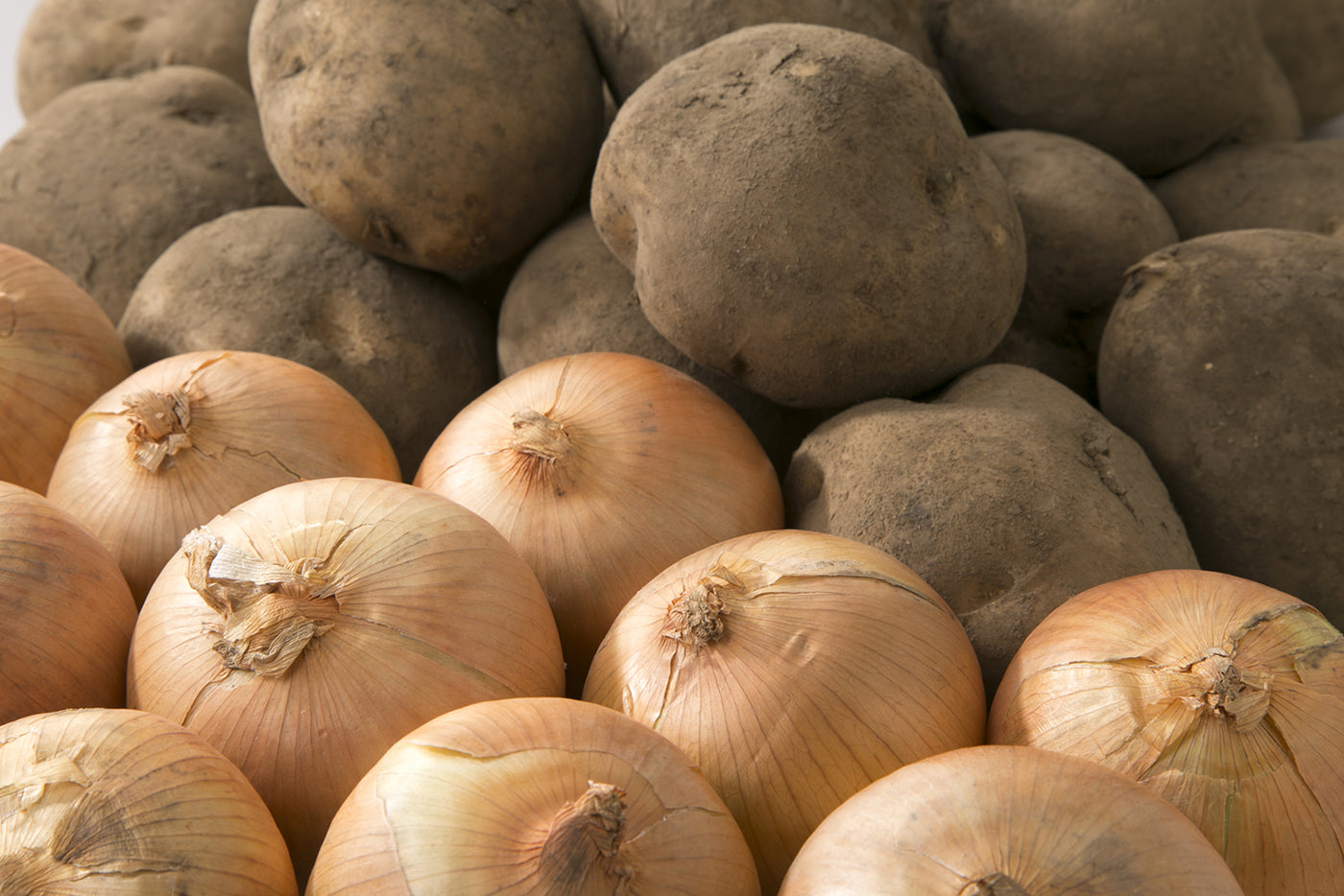 【IP食-2】北海道産　じゃがいも・たまねぎセット【2026福袋先行予約販売】