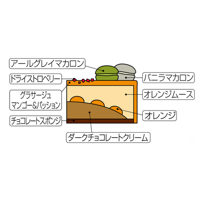 [IT-4] イタリアントマト | オレンジショコラ 4号（約12ｃｍ）