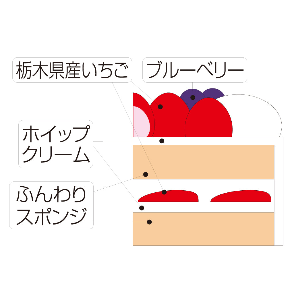 【K-3】金谷ホテル | スペシャルケーキ シャンデ・フレーズ