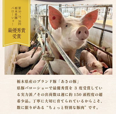 【こんなの見たことない⁉】薄いとんかつ【希少！栃木県産あさの豚使用】【送料無料】