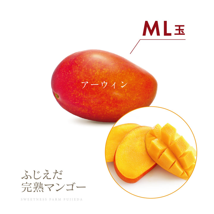 期間限定】【マンゴーの王様！】ふじえだ完熟マンゴー | マンゴー