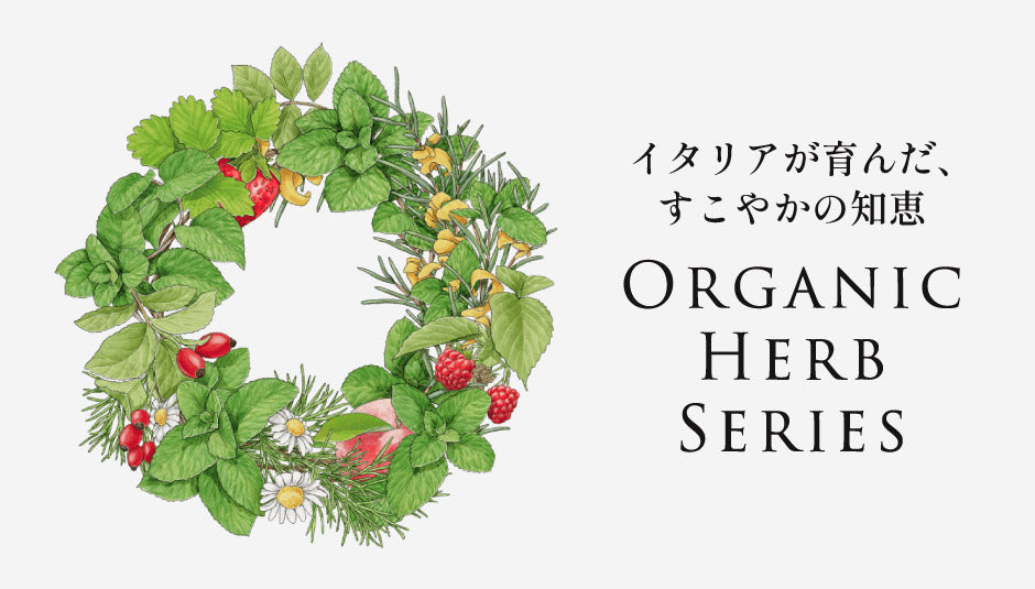 オーガニックハーブティー 24本セット【送料込】