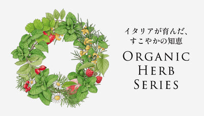 オーガニックハーブティー 24本セット【送料込】