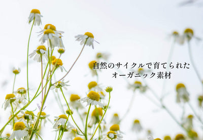 オーガニックハーブウォーター 24本セット【送料込】