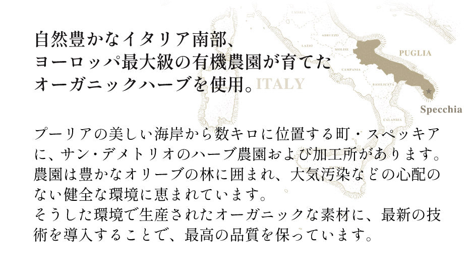 オーガニックハーブティー 24本セット【送料込】