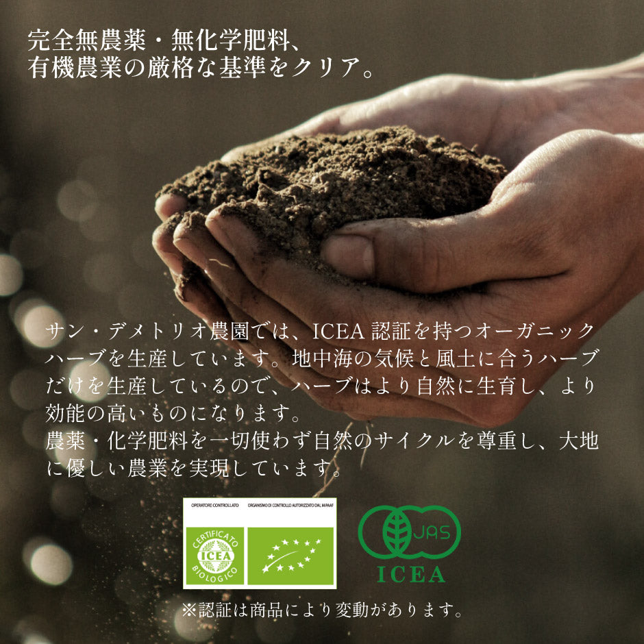 オーガニックハーブティー 24本セット【送料込】