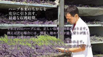 オーガニックハーブウォーター 24本セット【送料込】