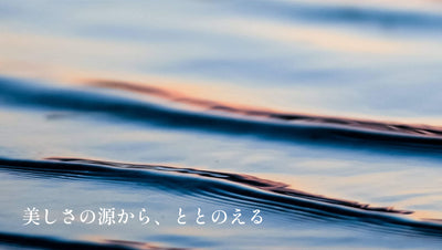 ufv ライトヘアードライヤー【送料無料】