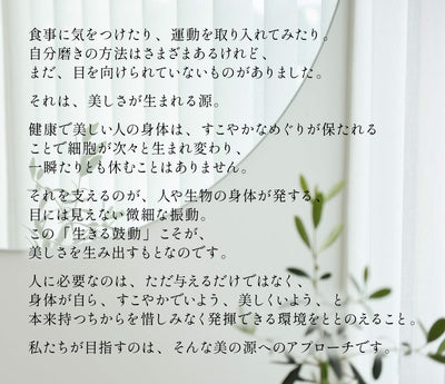 ufv ライトヘアードライヤー【送料無料】