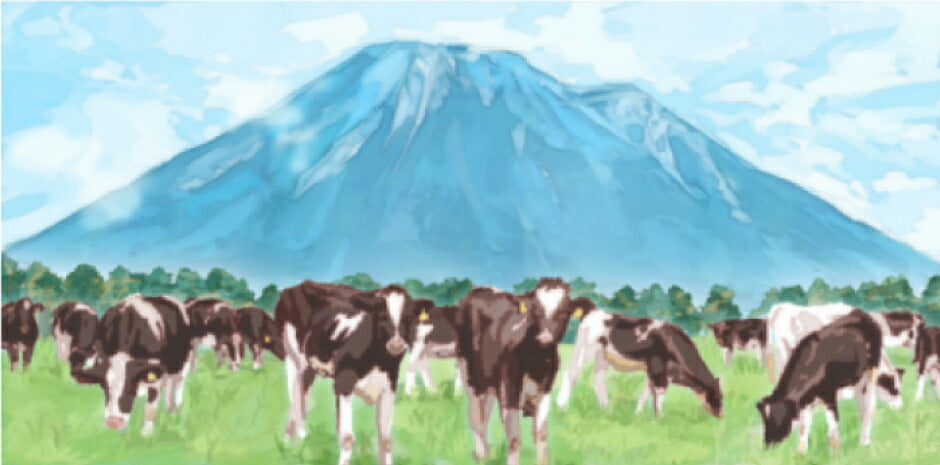 白バラ牛乳 大山おいしい贈り物 FN0SR【送料無料】