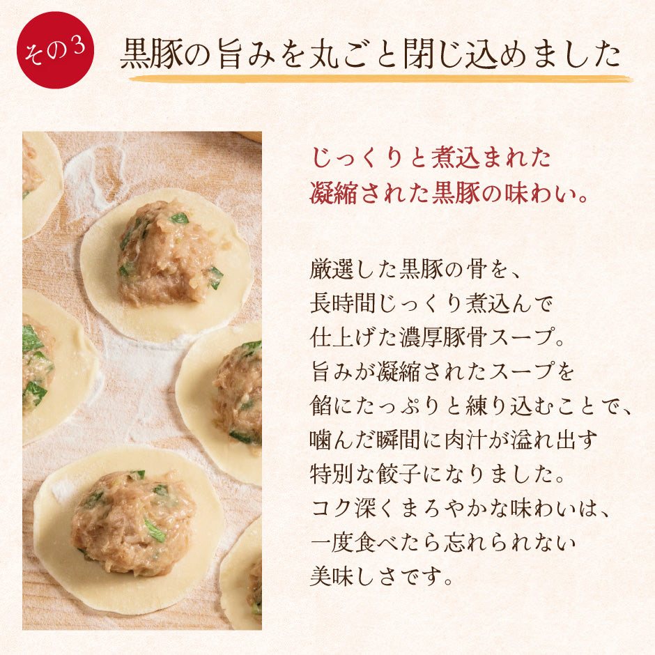 点心師が作る自慢の餃子 大連餃 子 20個入り