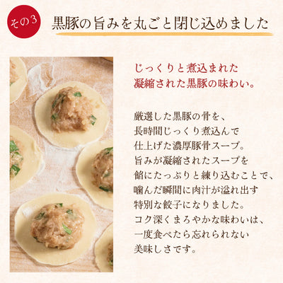 点心師が作る自慢の餃子 大連餃 子 20個入り