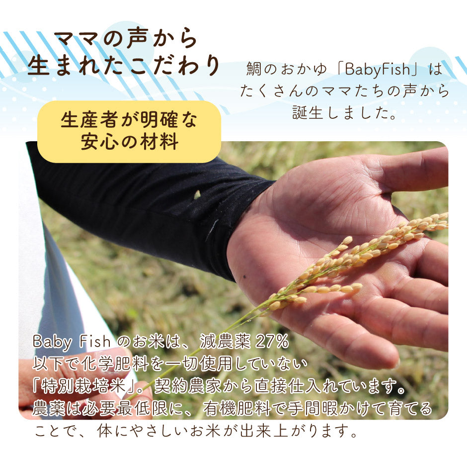 Baby Fish 鯛のおかゆ 5袋ミックスお試しセット