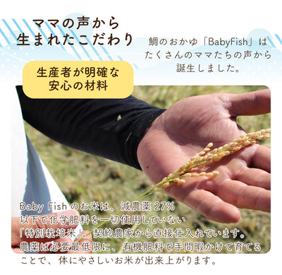 Baby Fish 鯛のおかゆ 5袋ミックスお試しセット