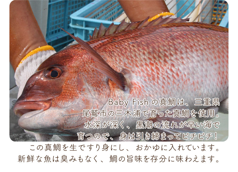 Baby Fish 鯛のおかゆ 5袋ミックスお試しセット