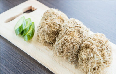 道正昆布 根こんぶ入とろろ 1袋  【送料無料】