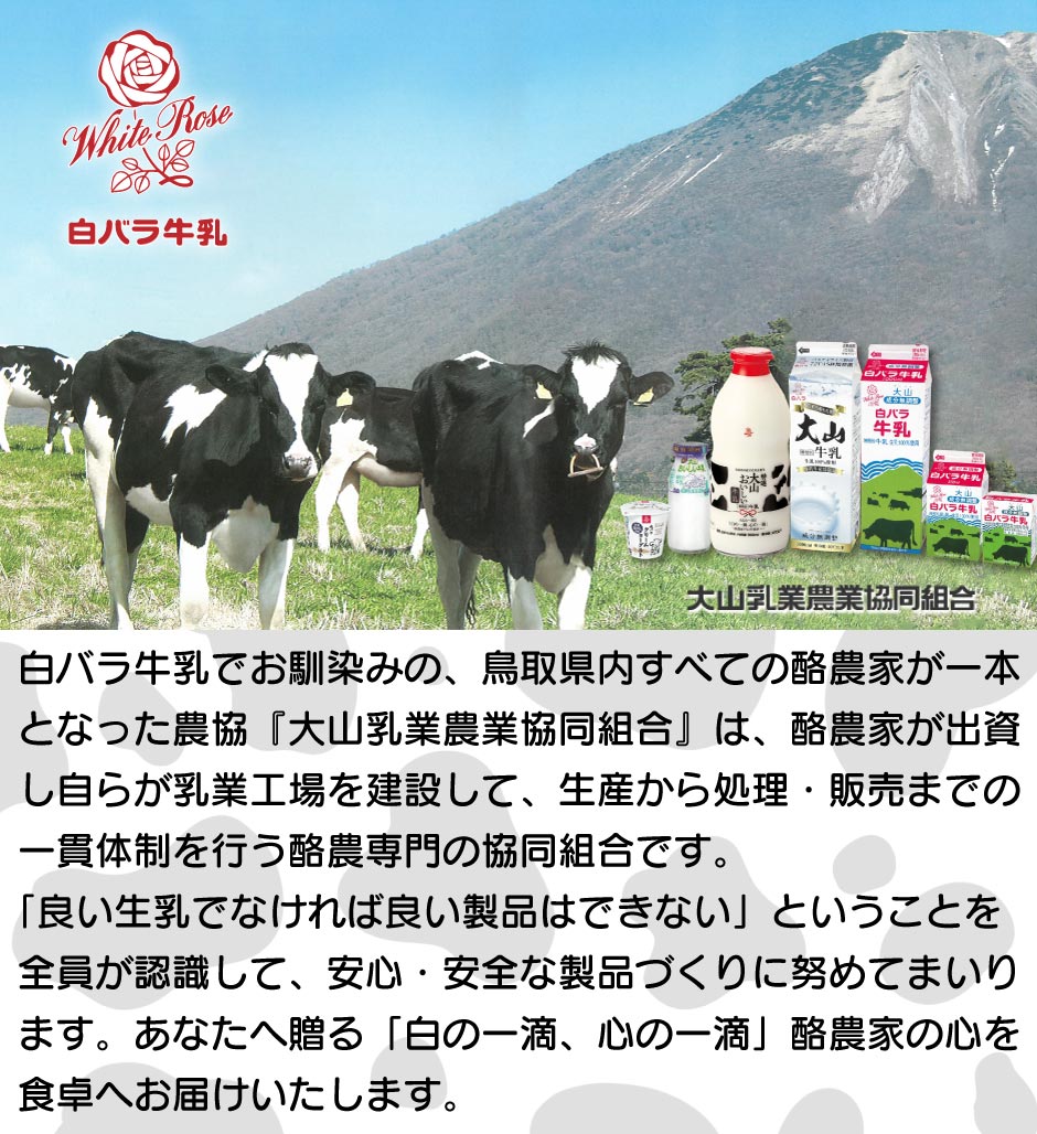 白バラ牛乳 大山おいしい贈り物 FN0SR【送料無料】