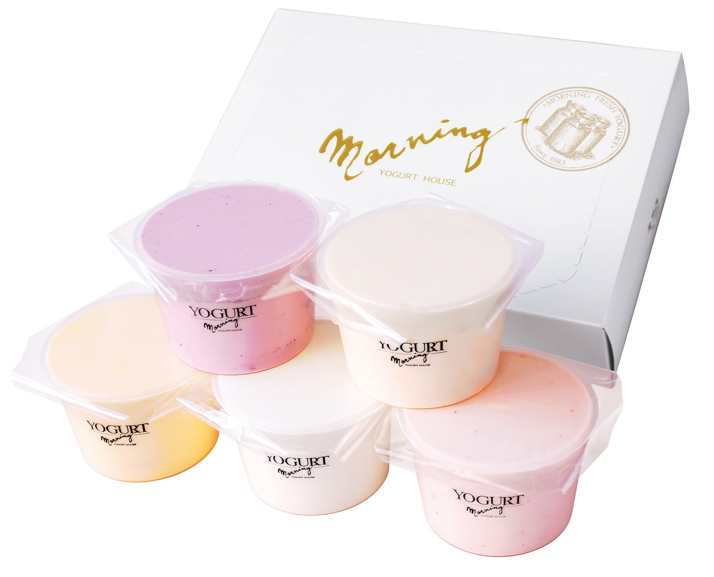 【食-36】モーニング 　ヨーグルトの福箱（ハッピーパック）【2026福袋先行予約販売】