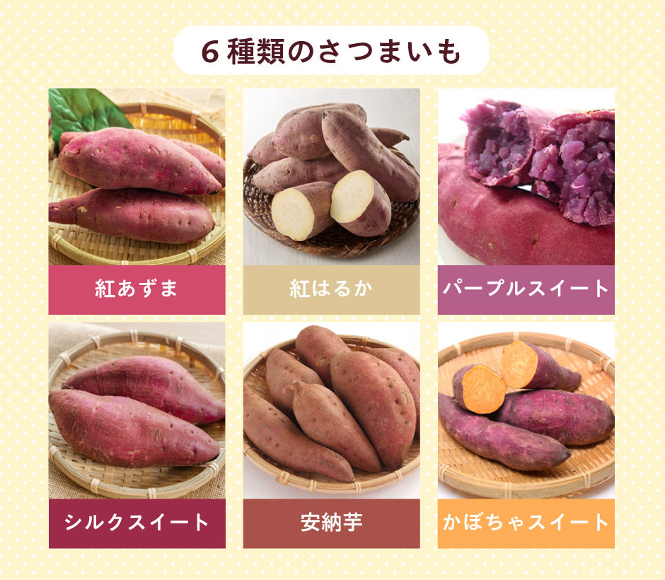 栃木県産6種類のさつまいもチップ 3袋 ｜ 栃木県産品 小山市