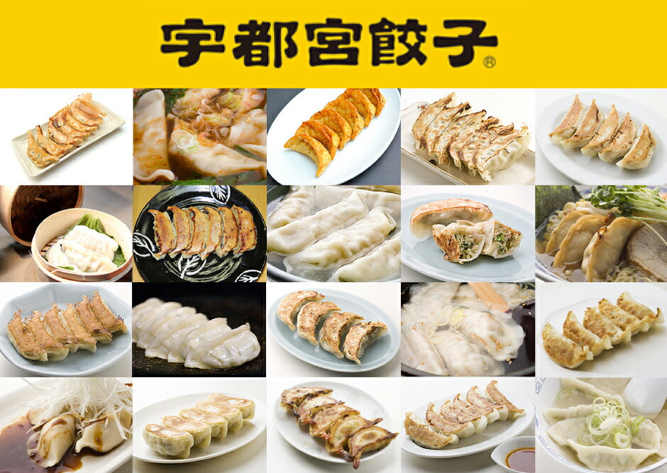 宇都宮餃子館 味わい5色セット 5種40個入り – 福田屋オンライン