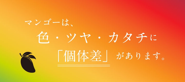 期間限定】【マンゴーの王様！】ふじえだ完熟マンゴー | マンゴー