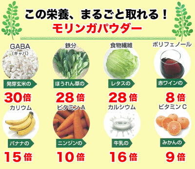 モリンガ茶 5包入 2袋セット（10包） ｜ 栃木県産品 小山市 ECO山本 栃木県産モリンガ若葉100％使用 無農薬 化学肥料不使用 ミラクルツリー GABA 鉄分 食物繊維 ポリフェノール カルシウム ビタミンC ポスト投函【全国送料込】