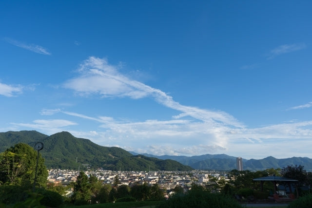 山形県 南果連シャインマスカット 2房入1箱（約1.3kg入）