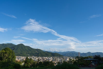 山形県 南果連シャインマスカット 2房入1箱（約1.3kg入）