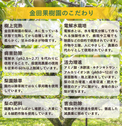 完熟梨ジュース 幸あり