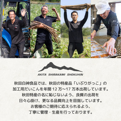 秋田白神食品 こまち食品 すっきりごぼう茶 ｜ 秋田県三種町